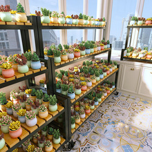 ���⻨�����̨���ӿ��Ƅ�ֲ��û���չʾ�ܻ������������҃�