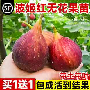 �o����������ش�����~���԰����Ϙ�����Y���ϱ����ļ�ͥԺ����