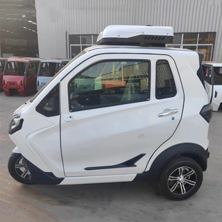 把式电三轮2门3座带篷小型客运三轮全封闭家用代步成人电动三轮车