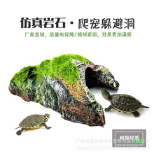 �~���쾰�~�r���x��ܶ��ݘ�֬�~���쾰�b�Ʒ���湰�δ�̖��Ƥ