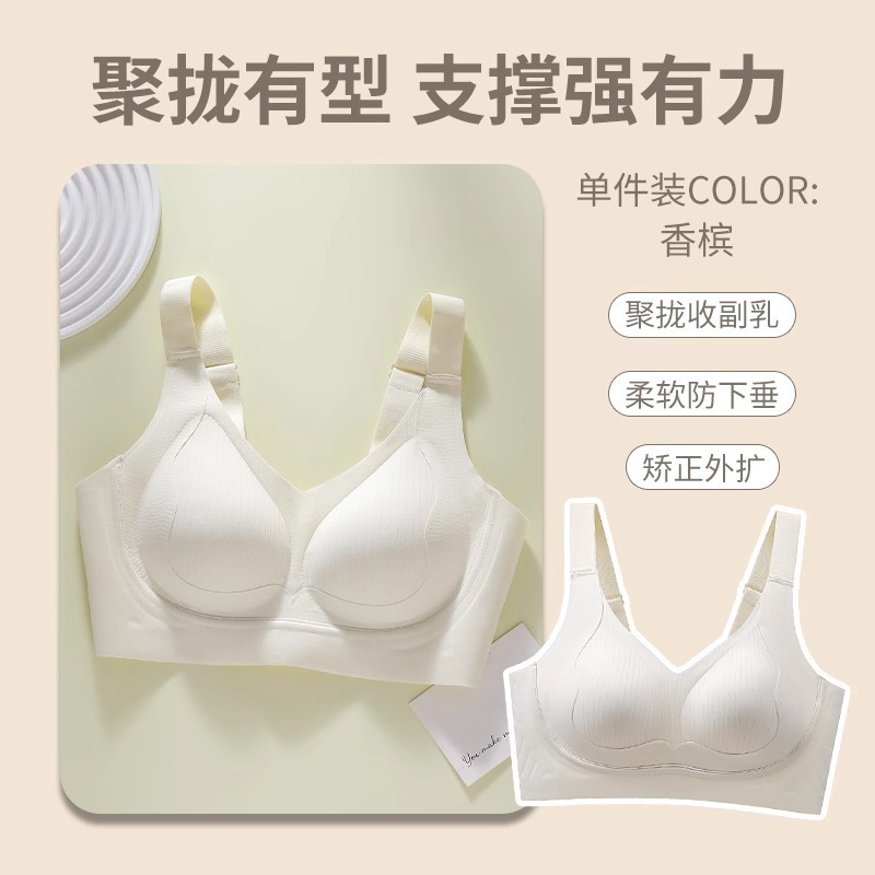 샴페인
