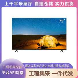 TCL乐华(ROWA)75U3A 75寸4K超清HDR10杜比DTS双通道WIFI远场语音