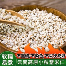 ���Sֱ�N�F��޲�����в�ș��޲��޲�������l���l޲����ƿ�b500��