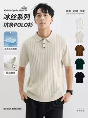 Ice Silk Knitted Polo Shirt for Men, High-End Lapel Business Casual Polo Short-Sleeved Men's Summer T-Shirt for Men