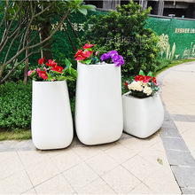 ������������䓻����̈��Ƶ꺆�s�������ˇ�g����M�ϻ�������