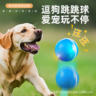 �羳����������������˽␞����С�д���Ȯ��ҧ�b�������Ԅ��ﹷ