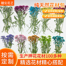 Ⱦɫ���Ƹɻ���������R����֦������ѩ���H���ֹ���diy������