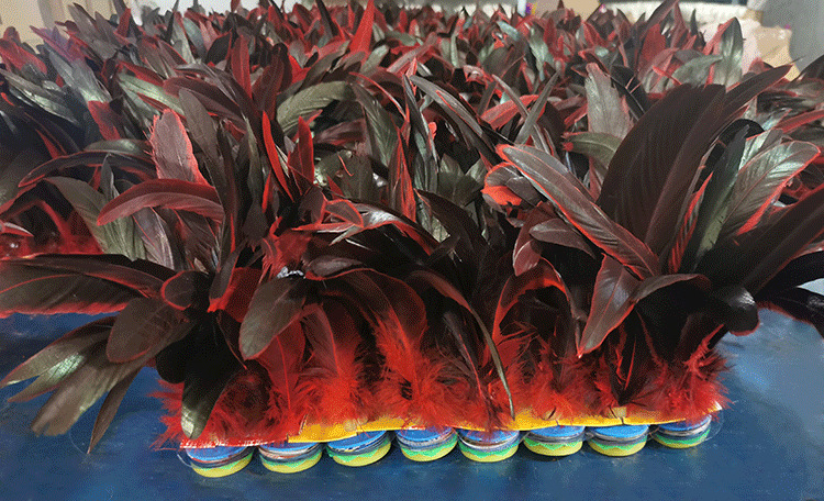 大中小公鸡毛-恢复的-恢复的_13