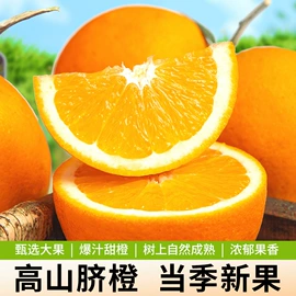 橙;菠萝蜜;其他水果
