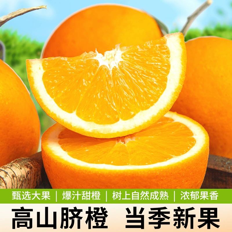 Navel Oranges, Fresh Oranges, 2.5kg Seasonal Fruits, Hand-Peeled Oranges, High-Mountain Fruits, Sweet Oranges, Large Navel Oranges, Whole Box Navel Oranges, Fresh Oranges, 2.5kg Seasonal Fruits, Hand-Peeled Oranges, High-Mountain Fruits, Sweet Oranges, Large Navel Oranges, Whole Box