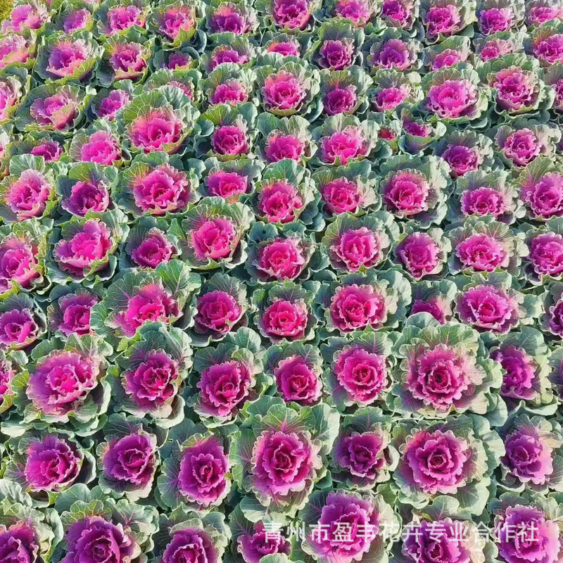 微信图片_20241105152701