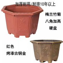 ش̖˽ǼӺ֬辰F軨𻨹GֲͥԺWʽ͹