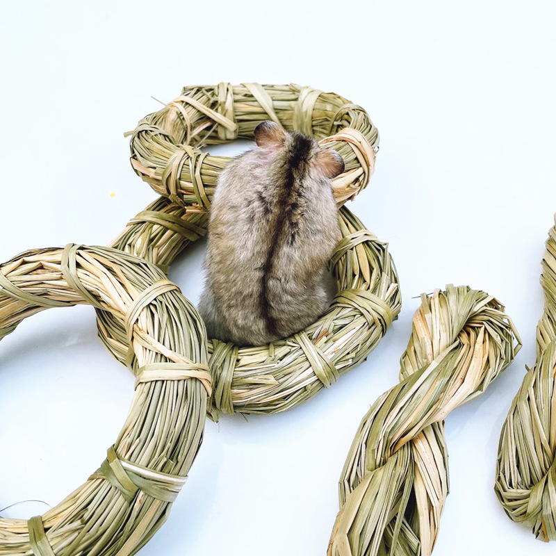 草环2 (7)_副本.jpg