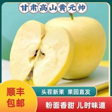 ���C�SԪ���O�����r�S�㽶�������͎����O��