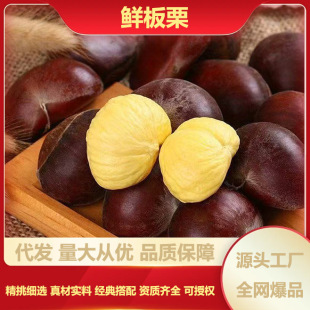 2025���r�������r�������Ϙ䎧���������r����Ʒ�N������