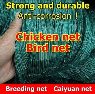 �羳�B�u�W���l�B�u�W���l���پW���B�W�o�ھW�����W�u�W�ˈ@�W