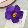 Purple (with hairpins)