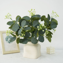 �ȼ����Gֲ�����辰�ٻ��b[��С���~��������Gֲ�ٽ��X��֧�~