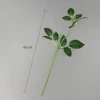 2 head roses-sticky leaves