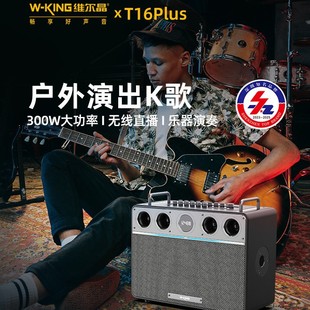 �S����T16PLUS ����K���{�����300W���ʴ�������OTGֱ������