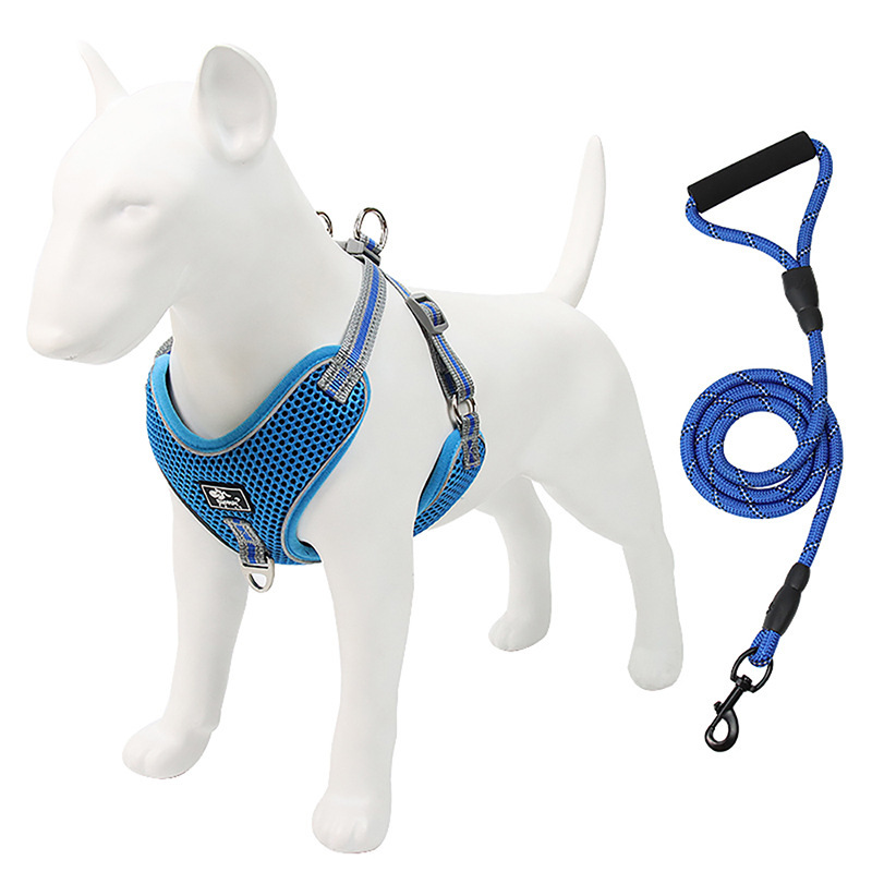 犬用リード、ハーネス、犬用ロープ、ペット用中小型犬用テディベスト型首輪、子犬用犬用散歩チェーン|undefined