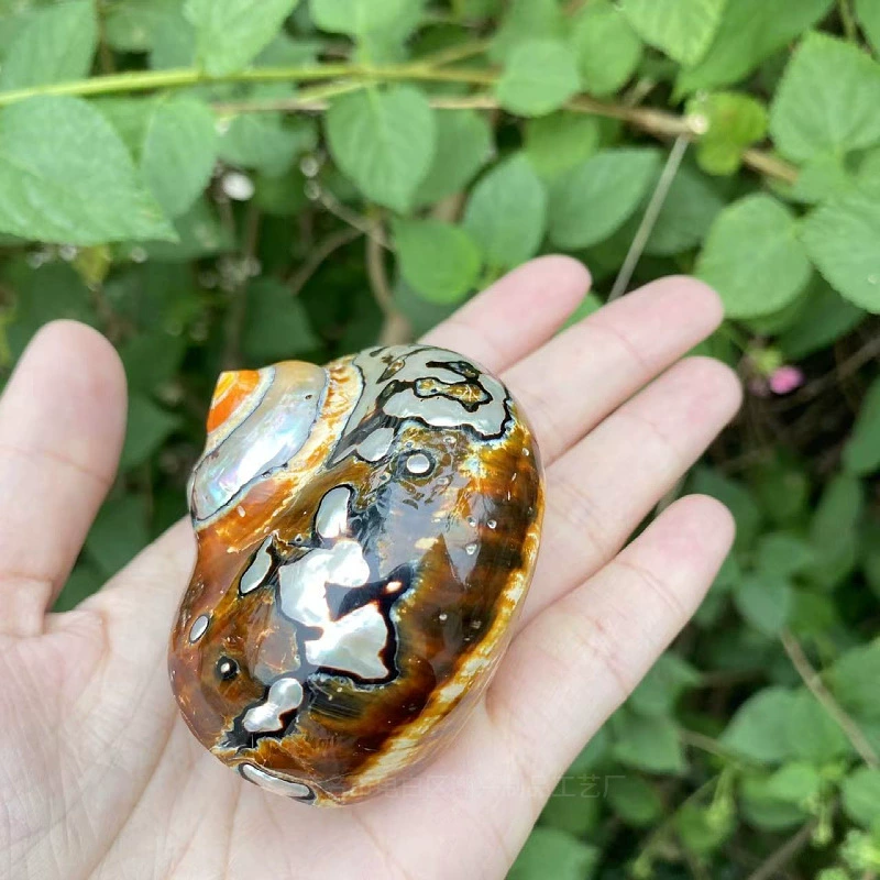 Органический образец, коралловый аквариумный декор, домашний декор