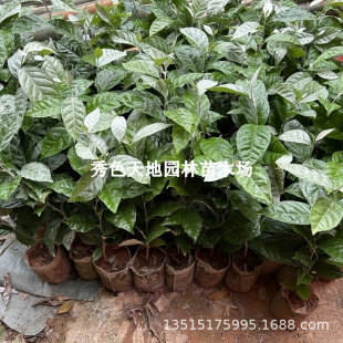 ���̹���޽����ش�������̖���j�������̹������ͺ��ϱ����Nֲ