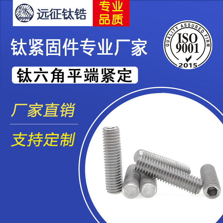 纯钛TA2紧定螺钉止付螺丝顶丝凹端平端锥端机米无头螺丝M1.6现货