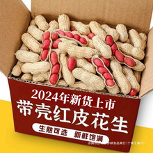 2024���������t�tƤ��������ԭζɳ�F偳�����b��؛�r����ʳ�Թ�