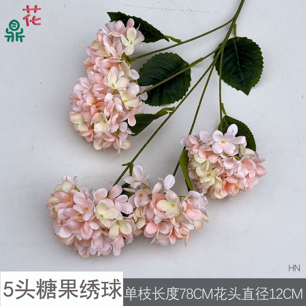 5구 캔디 수국 HN 샴페인 핑크 잎 없음