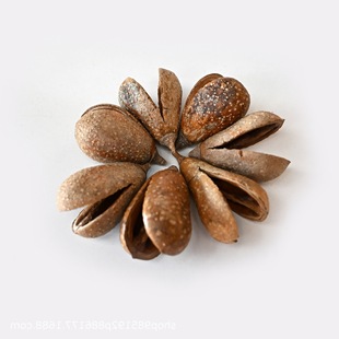 �����ǚ����M��ֲ��ɹ������˱����l���ϰ��ֹ�diy������ϸɻ�