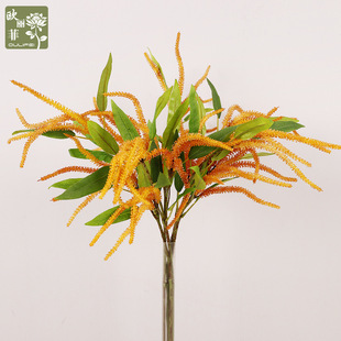 �ߙn3����β�ݷ��滨 �ٻ���c�҃Ȳ廨 ���Wܛ�z������β���b�