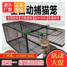 室内捕猫笼人道救助全自动家用抓猫神器老鼠夹子户外流浪猫逮猫器