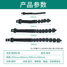�@ˇ��ɫ�������� 300/400/500/600mm ��Ҏ�� ���@���Ѽܘ���̶�