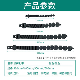 �@ˇ��ɫ�������� 300/400/500/600mm ��Ҏ�� ���@���Ѽܘ���̶�