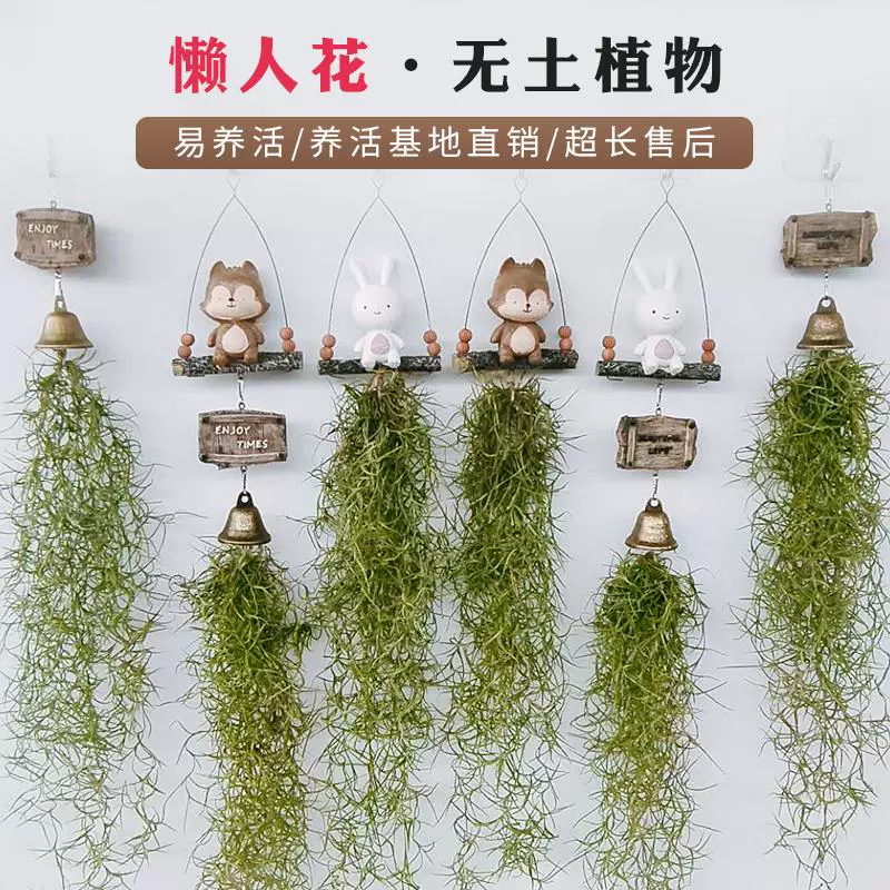 Подвесной креативный воздушный ананас старик венчик Usnea комбинированный офисный Крытый настенный ленивый цветок зеленое растение