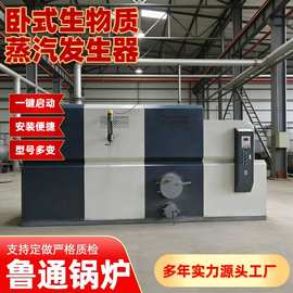 0.1~0.7吨卧式生物质蒸汽发生器服装洗涤熨烫烘干机蒸汽锅炉