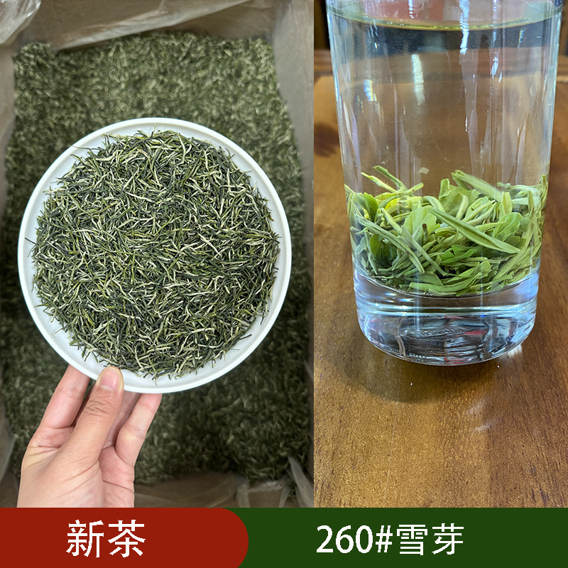 毛尖緑茶2025年新茶 毛尖茶 一芽一葉 箱詰め卸売茶葉 バルク販売 0.5kg 白毫嫩芽|undefined