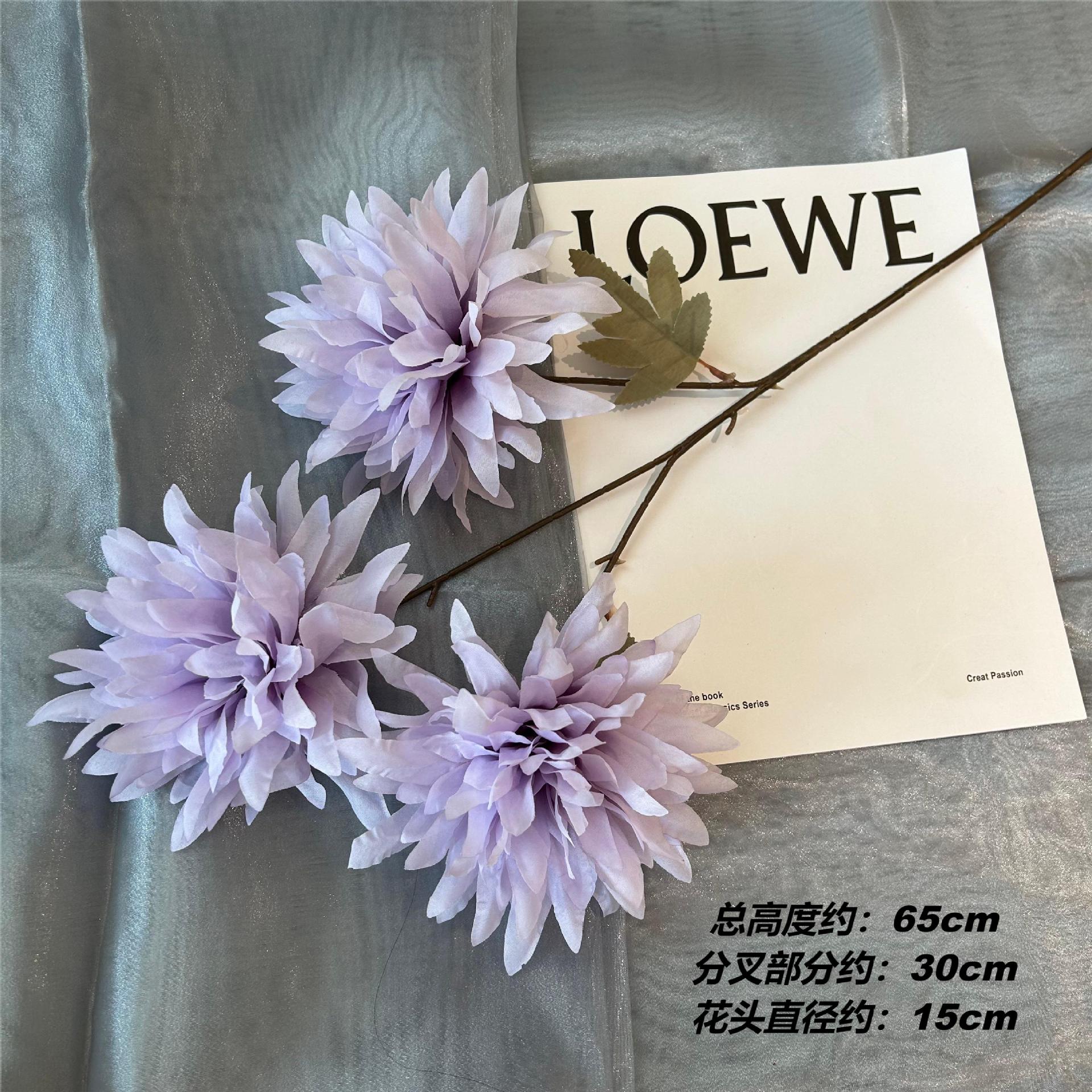 ZX 불꽃 국화