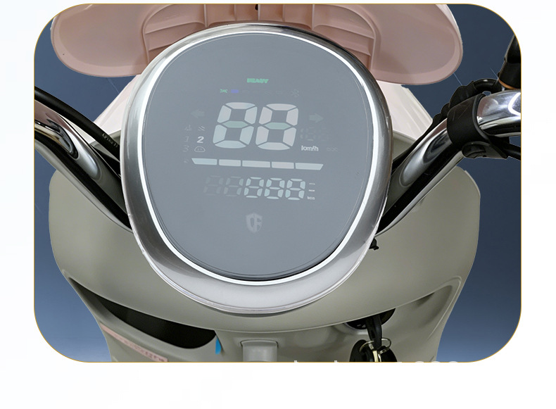 Instrument Cluster Cover for Tailg EB Super Energy Edition Electric Vehicle