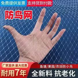 绳子类;其他安全网;防鸟网