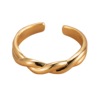 One size small design fashionable universal ring with pigtail, Amazon, suitable for import, simple and elegant design