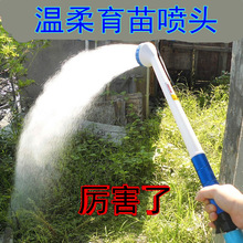 �r�È@ˇ����/ɏ���^/������������ֲ��^���������F��6��ˮ��