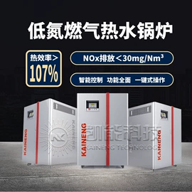 其它工业锅炉;燃气锅炉;余热锅炉