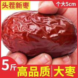 厂家直供新疆红枣和田大枣骏枣500g 干枣子代发肉厚核小零食红枣