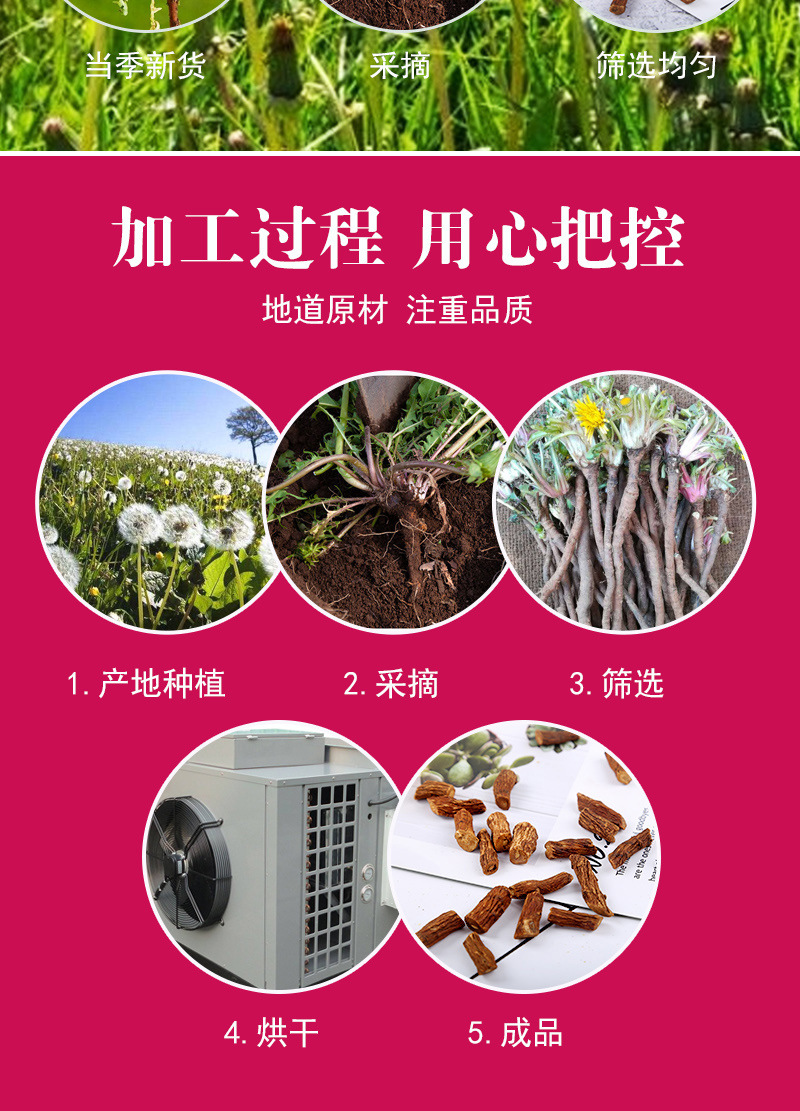 Dandelion Root Tea (Taraxacum officinale) — Dried Pú Gōng Yīng Root, Loose Herbal Tea preparation