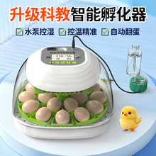 孵化器小型家用全自动小鸡鸟蛋孵化机智能小飞碟鹦鹉芦丁鸡孵蛋器