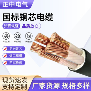 National Standard Copper Core Cable Rvv Sheathed Wire Power Cord Multi-Core Multi-Strand Soft Cable Outdoor Engineering Power Cord