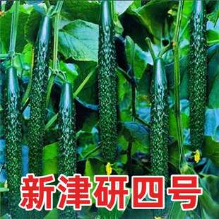 ������̖�S�ϷN�ӿ����ߜؾGȿ�GƤ����۾G�S�Ϲ����йϾG���S��