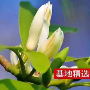 ���m���������m�����玧�����S�m�̨ͥԺ�����ͻ����ļ��_���M��